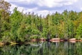 Pond in forest