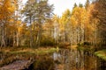 Pond and forest in Tanumshede Royalty Free Stock Photo