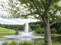 Pond Fountain