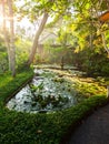 pond and fountain in a garden in Bali Indonesia Royalty Free Stock Photo