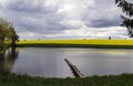 Pond in front of a blooming field