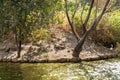 Pond in Gan Guru kangaroo park in Kibutz Nir David in the north of Israel