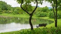 A pond in a garden, greenery trees beside a lake with good maintenance landscaping