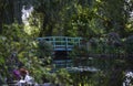 the pond in the garden of Monet in Giverny France Royalty Free Stock Photo