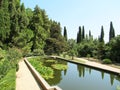 Pond in the garden.