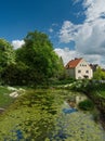 Pond with green algae Royalty Free Stock Photo