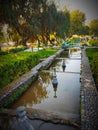 BEAUTIFUL GARDEN WITH TREES