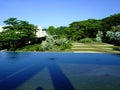 A pond with greenery at Hort Park