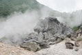 Pond Hakone. Royalty Free Stock Photo