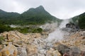 Pond Hakone. Royalty Free Stock Photo