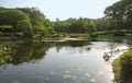 Pond in Imperial Palace Gardens Royalty Free Stock Photo