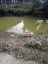 The pond of indian Gaon and gress trees etc