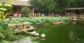 A Pond Inside the Mansion of Prince Gong