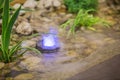 A pond in the interior, a small fountain with color illumination, landscape design of a small pond