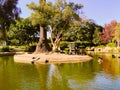 Pond Island + Gazebo | Parklife