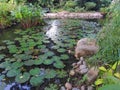 Pond in Istana Park, Singapore