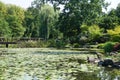 Pond in Japaneese garden in Wroclaw Royalty Free Stock Photo