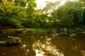 Evening, sunset in the city park. Tokyo