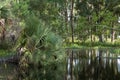 Pond in John`s Taylor Park, Florida, USA