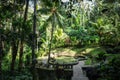 Pond and jungle in Goa Gajah elephant cave temple, Ubud, Bali, Indonesia