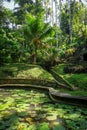 Pond and jungle in Goa Gajah elephant cave temple, Ubud, Bali, Indonesia