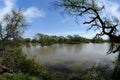 Pond in Keoladeo National Park