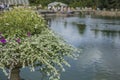 The pond at Kew Gardens in London. Royalty Free Stock Photo