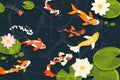 Pond with koi fish. Exotic decorative goldfish, cartoon chinese carp swimming in lake with lotus flowers in cartoon