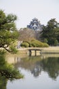 Pond in Korakuen Garden in Okayama Royalty Free Stock Photo