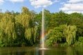 Pond, lake in the park, nature reserve, recreational area with fountain in the middle and with beautiful green trees in the backgr Royalty Free Stock Photo
