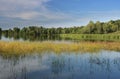 Pond landscape Royalty Free Stock Photo