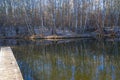 Pond at late autumn