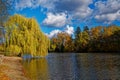 Pond Marvanek in Ricany near Prague Royalty Free Stock Photo