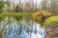 Pond with mirror reflection of the surrounding bare trees and wild vegetation Royalty Free Stock Photo