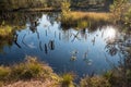 Pond in the moorlands, autumnal landscape Moosham