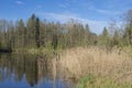 Pond at Moosham in Upper Bavaria