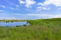 Pond with Native Plants next to Lake Michigan at Northerly Island in Chicago during Summer