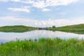 Pond with Native Plants at Northerly Island in Chicago during Summer Royalty Free Stock Photo