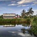 Pond near home surrounded by trees and grass