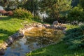 Pond near lake and forest