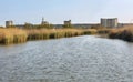 Pond near medieval village of Aigues Mortes, France Royalty Free Stock Photo