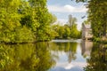 Pond near Montreuil-Bellay castle