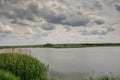 Pond near the village of Pokrovka Royalty Free Stock Photo