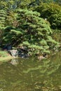 Pond in the Ninomaru Garden at the Tokyo Imperial Palace. Tokyo. Japan Royalty Free Stock Photo