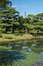 Pond in the Ninomaru Garden at the Tokyo Imperial Palace. Tokyo. Japan