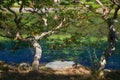 Pond in the Ninomaru Garden at the Tokyo Imperial Palace. Tokyo. Japan