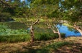 Pond in the Ninomaru Garden at the Tokyo Imperial Palace. Tokyo. Japan