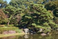 Pond in the Ninomaru Garden at the Tokyo Imperial Palace. Tokyo. Japan Royalty Free Stock Photo