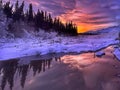 Pond in Northern Alaska Royalty Free Stock Photo