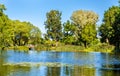 Pond of Olga in Peterhof